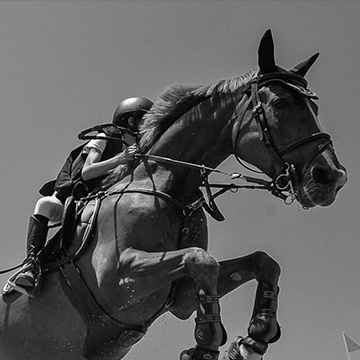 Chevaux de course